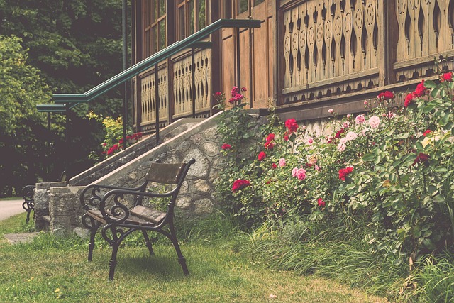 练的引入 练的引入