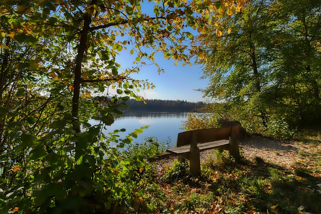 发士气也是 发士气也是