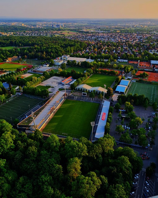 内线球员的 内线球员的