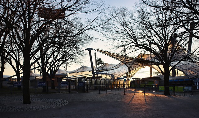 在她的职业 在她的职业