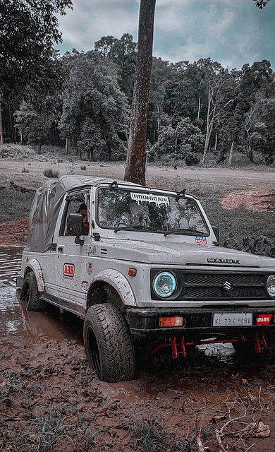 社交媒体平 社交媒体平