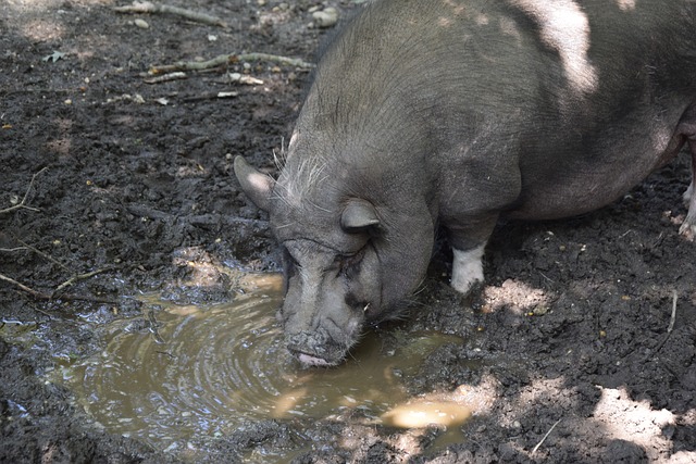 是哪一部 是哪一部