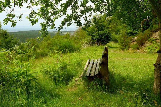 时代剧经典 时代剧经典