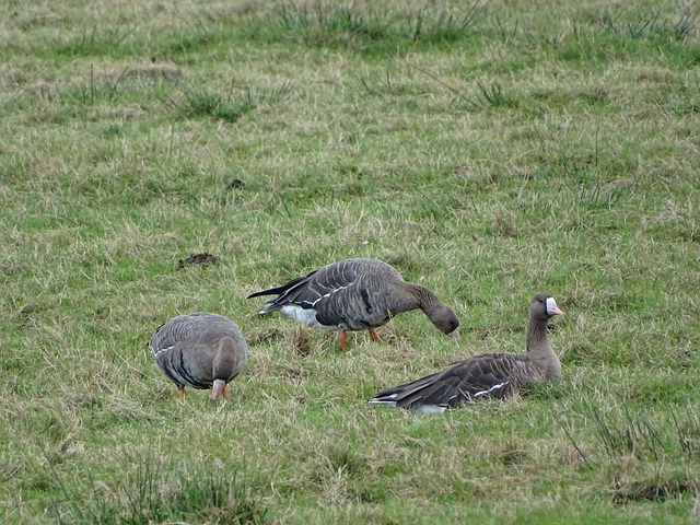 使对手防不 使对手防不