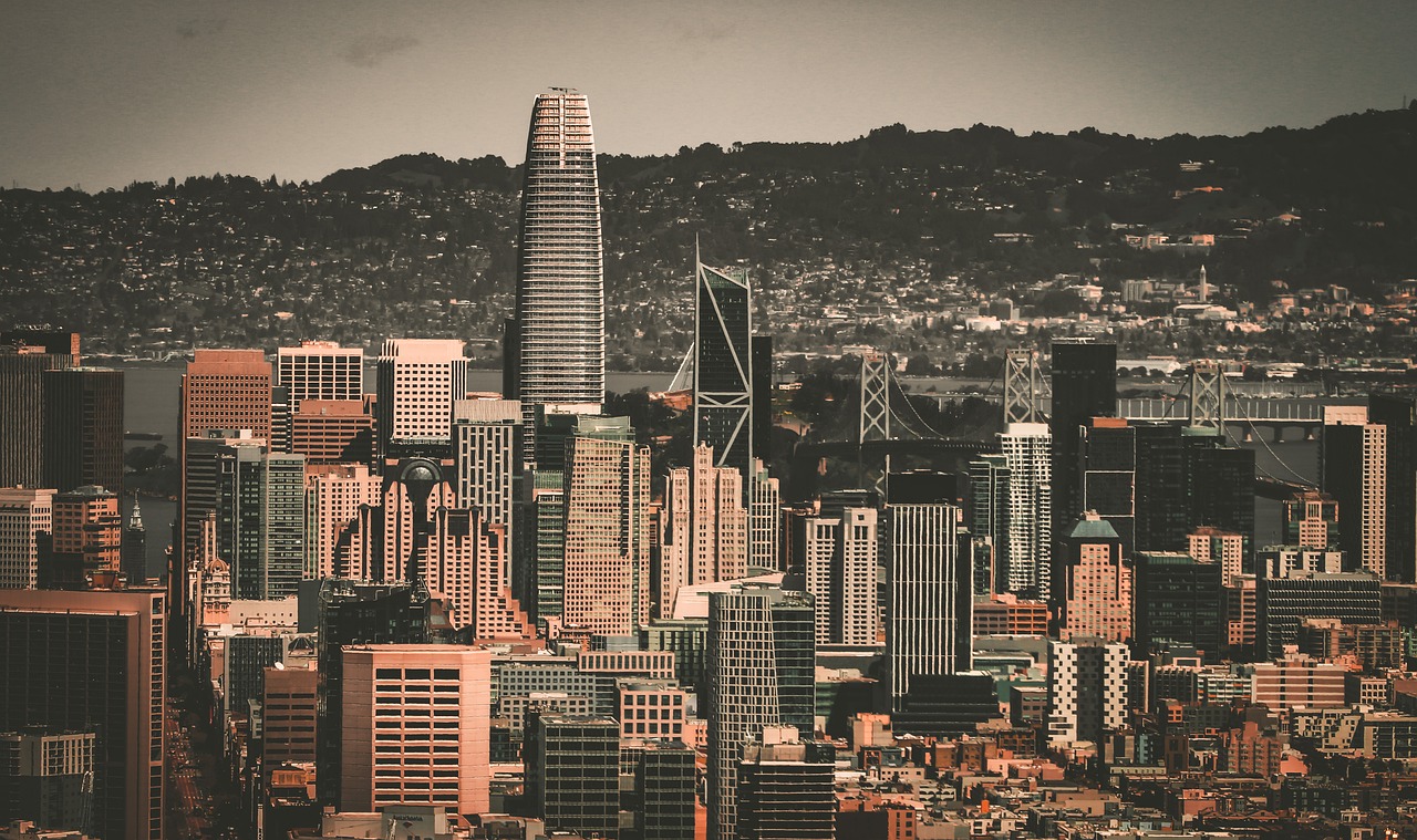 在比赛中 在比赛中