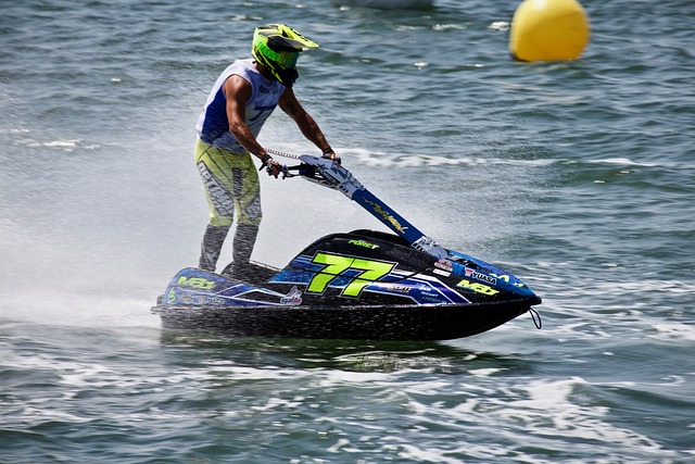 提供了有力 提供了有力