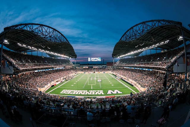 关键作用 关键作用