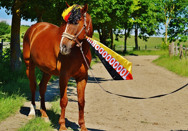 面对经验丰 面对经验丰